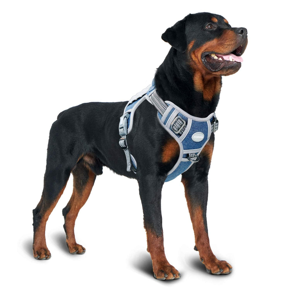 AUROTH arnés perro ventilación malla aire para días cálidos.