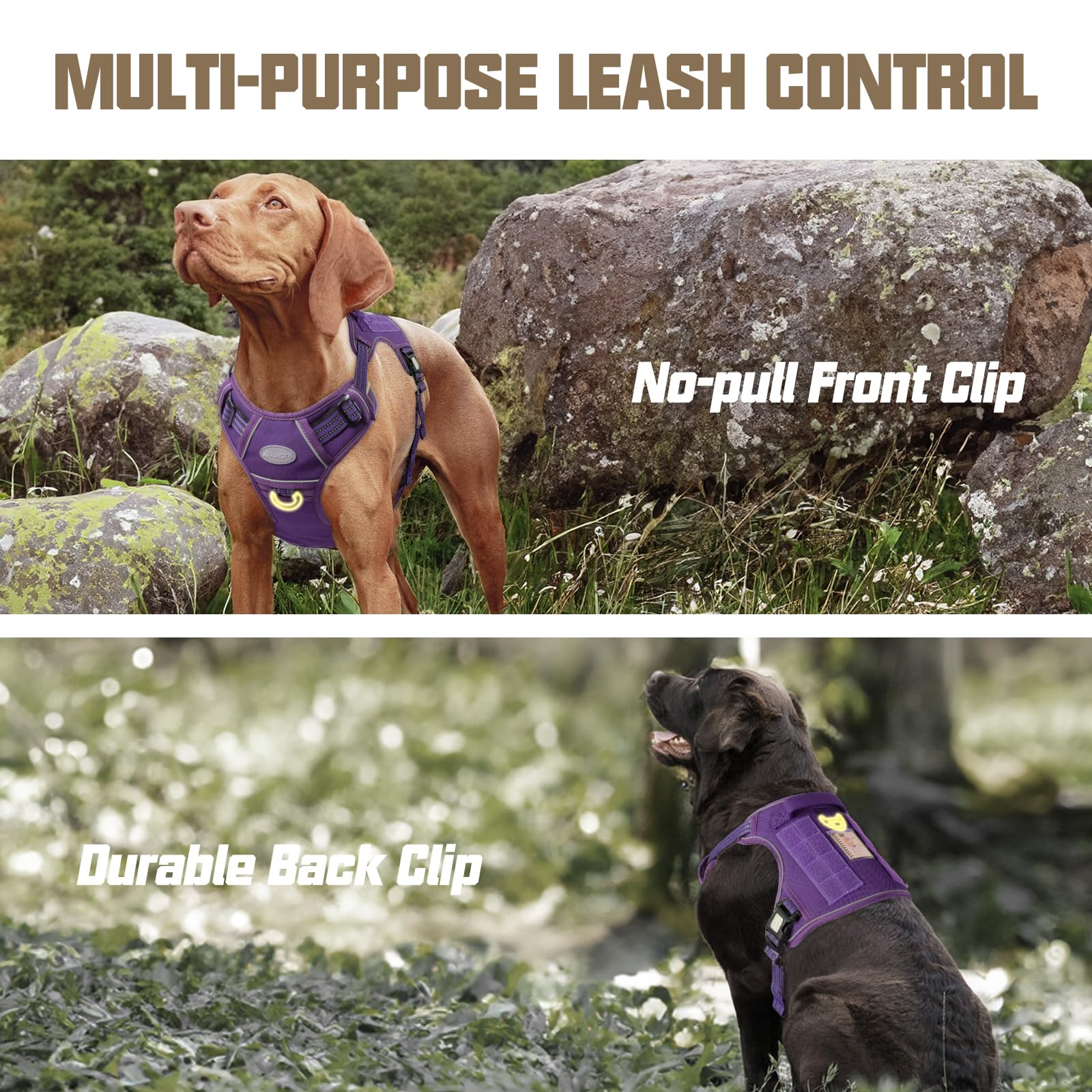Ajuste ajustable para un encaje perfecto AUROTH en perros grandes.