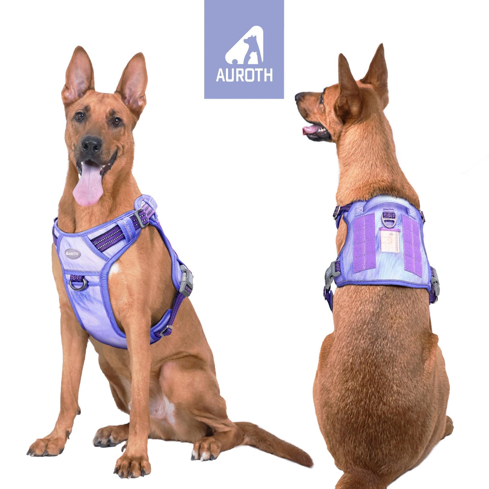 AUROTH arnés resistente de nylon para uso diario y aventuras al aire libre