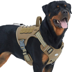 Arnés AUROTH frontal con cierre rápido para mayor control durante entrenamientos