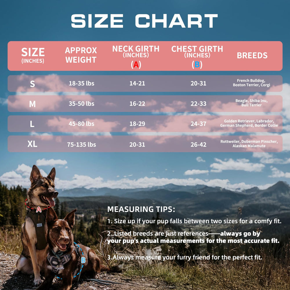 Arnés AUROTH con material reflectante para visibilidad.
