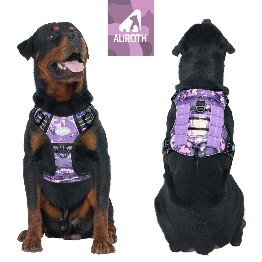 Gancho trasero para paseos casuales con AUROTH y seguridad.