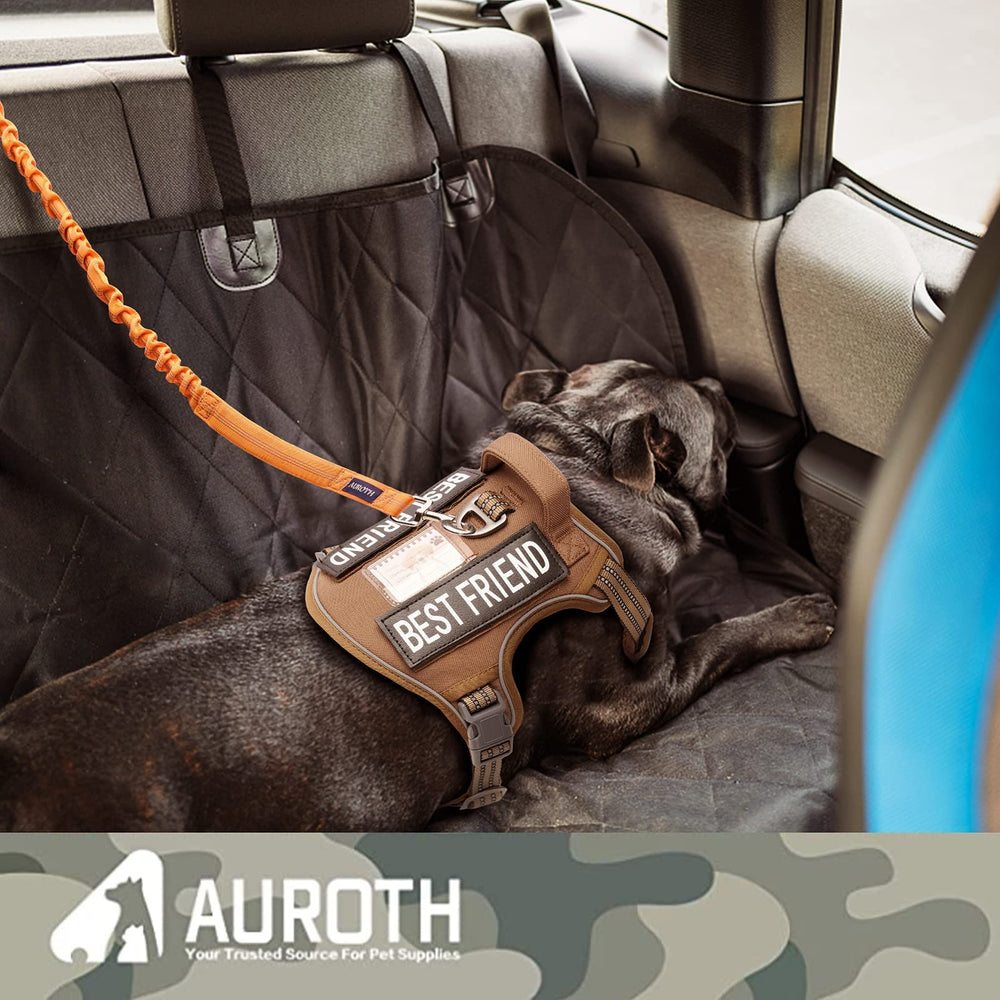 AUROTH gancho metálico y cierre con cinturón para coche.