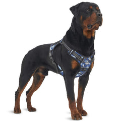 Arnés táctico AUROTH con clip frontal azul camuflaje para control sin tirones