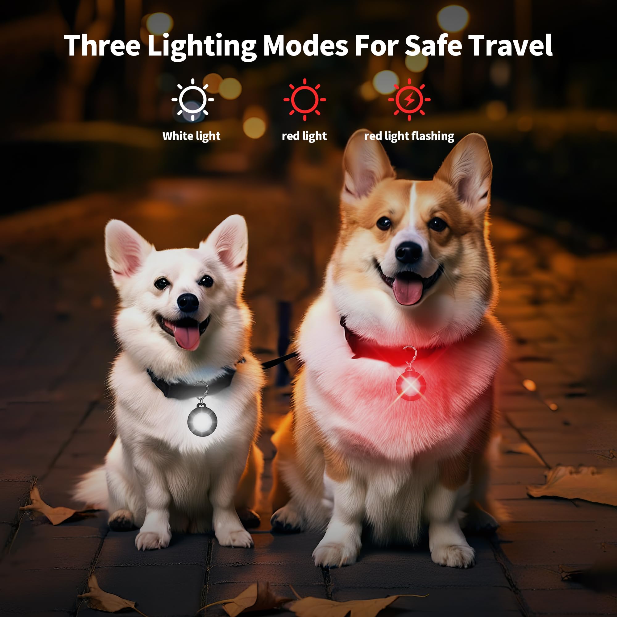 AutoEuropa luz-collar-perro-ip68-resistente garantiza rendimiento bajo lluvia o charcos.