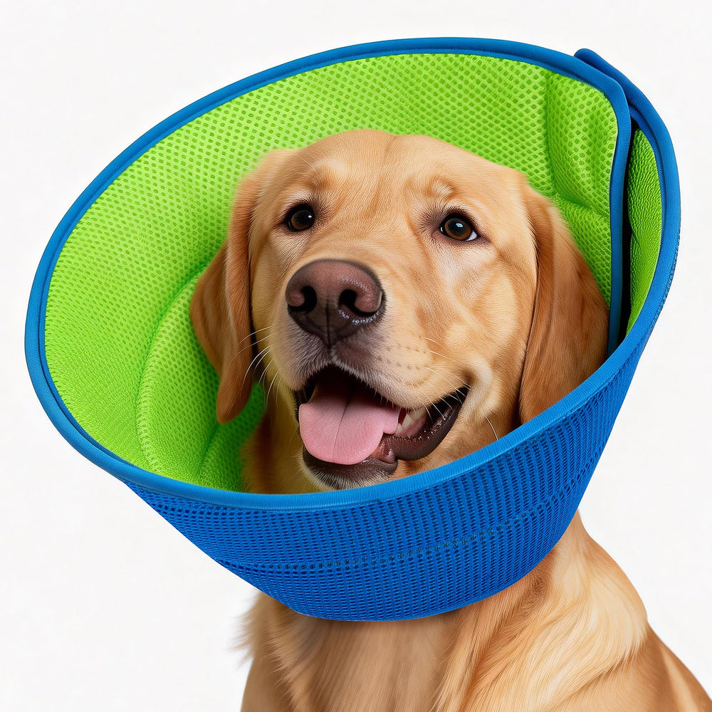 Autrous cono suave para perro, diseño transpirable para recuperación cómoda.
