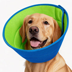 Autrous cono suave para perro, diseño transpirable para recuperación cómoda.