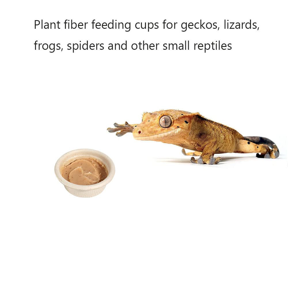 AUTSEEYS pack-100-tazas-alimentacion-geckos repuesto rápido para mascotas