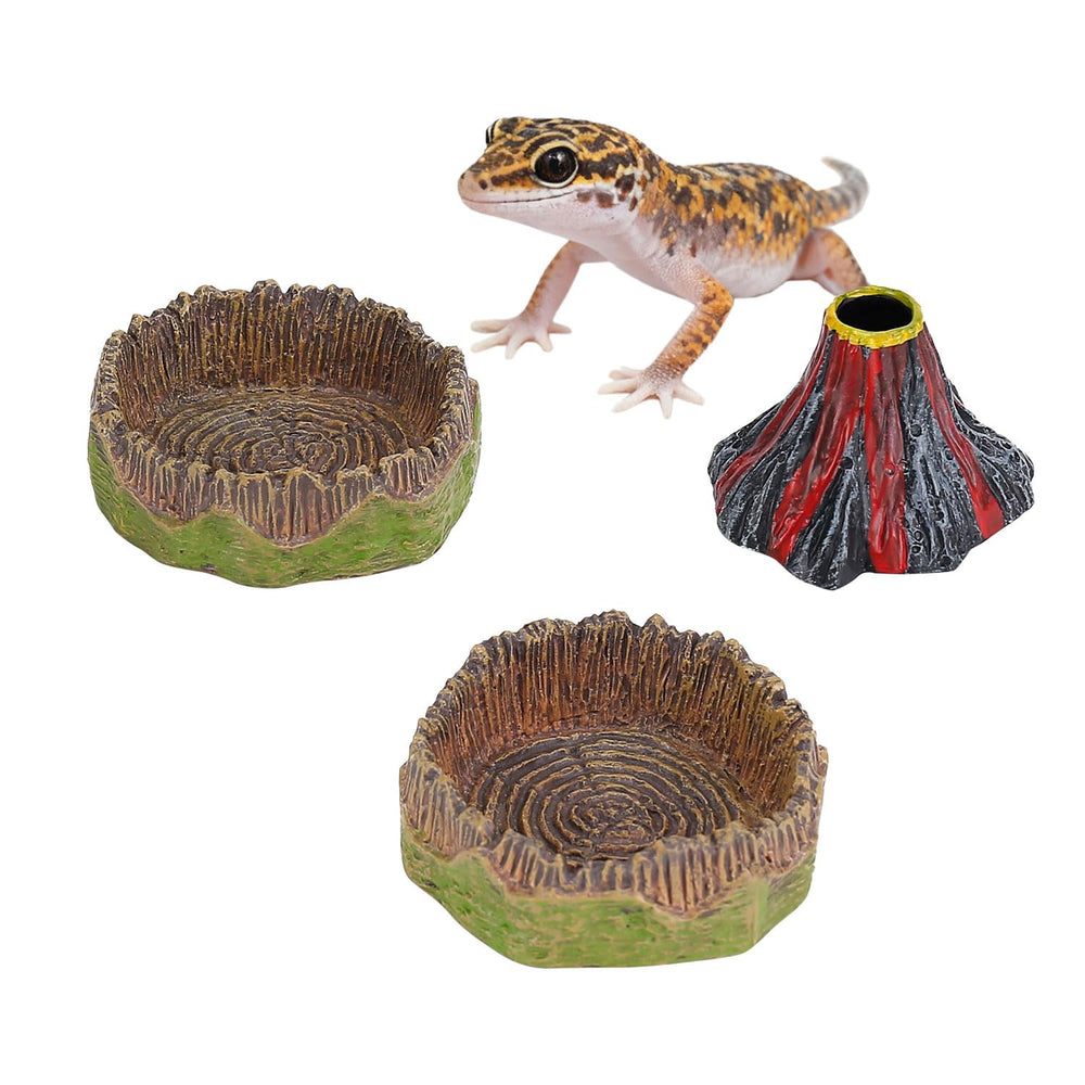 AUTSEEYS plato de alimentación para geckos, dos piezas, fácil acceso.