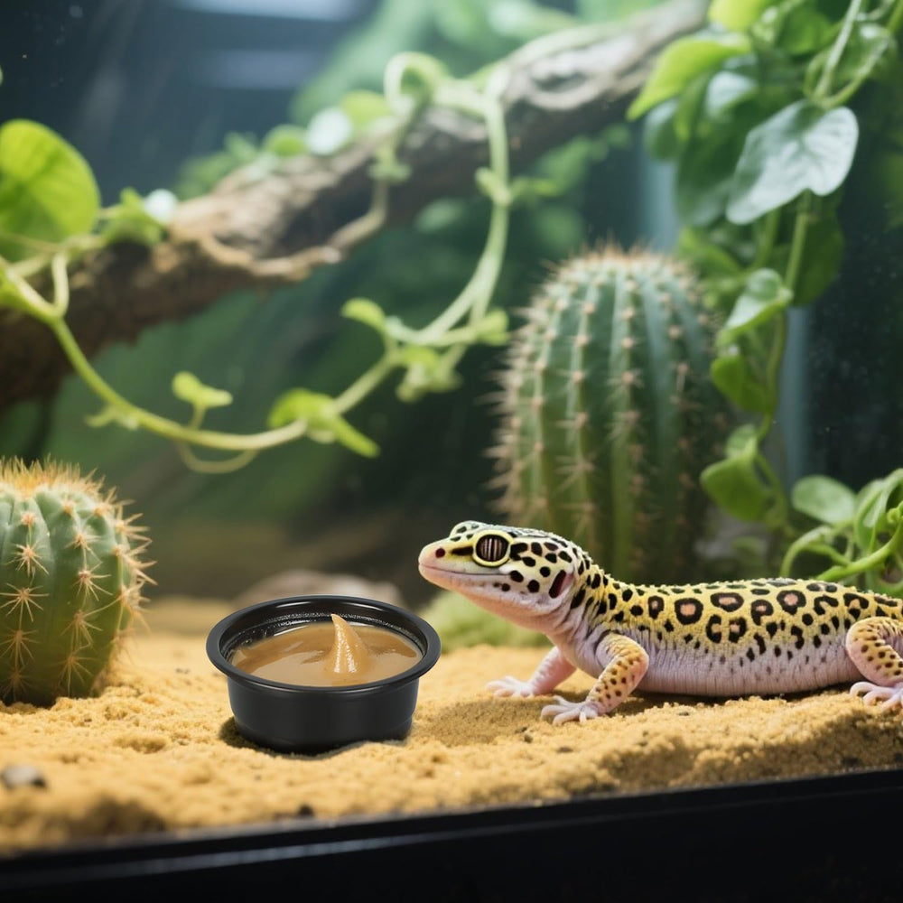 AUTSEEYS cuenco de repisa para terrario, montaje sencillo.