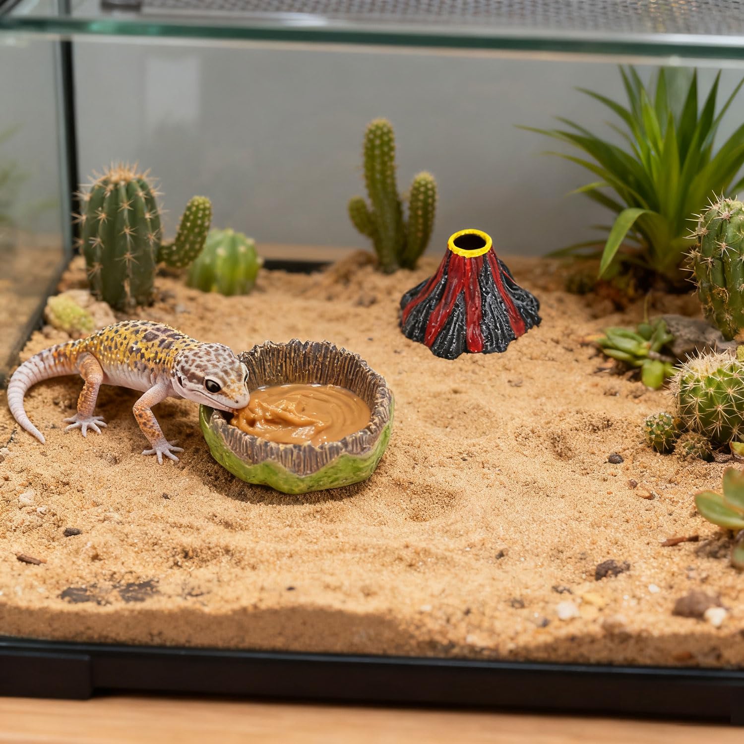 AUTSEEYS plato compacto para geckos, ideal para espacios reducidos.