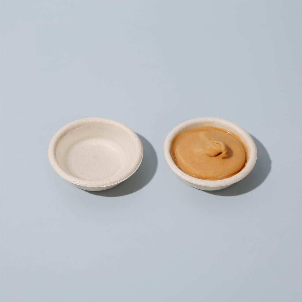 Unidades AUTSEEYS desechables para geckos, comida y agua