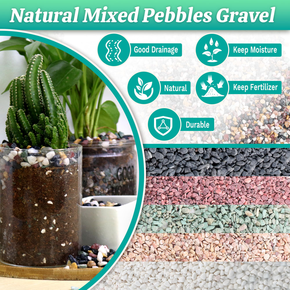 Avalution grava para acuario, piedras naturales resistentes para jardines y terrarios.