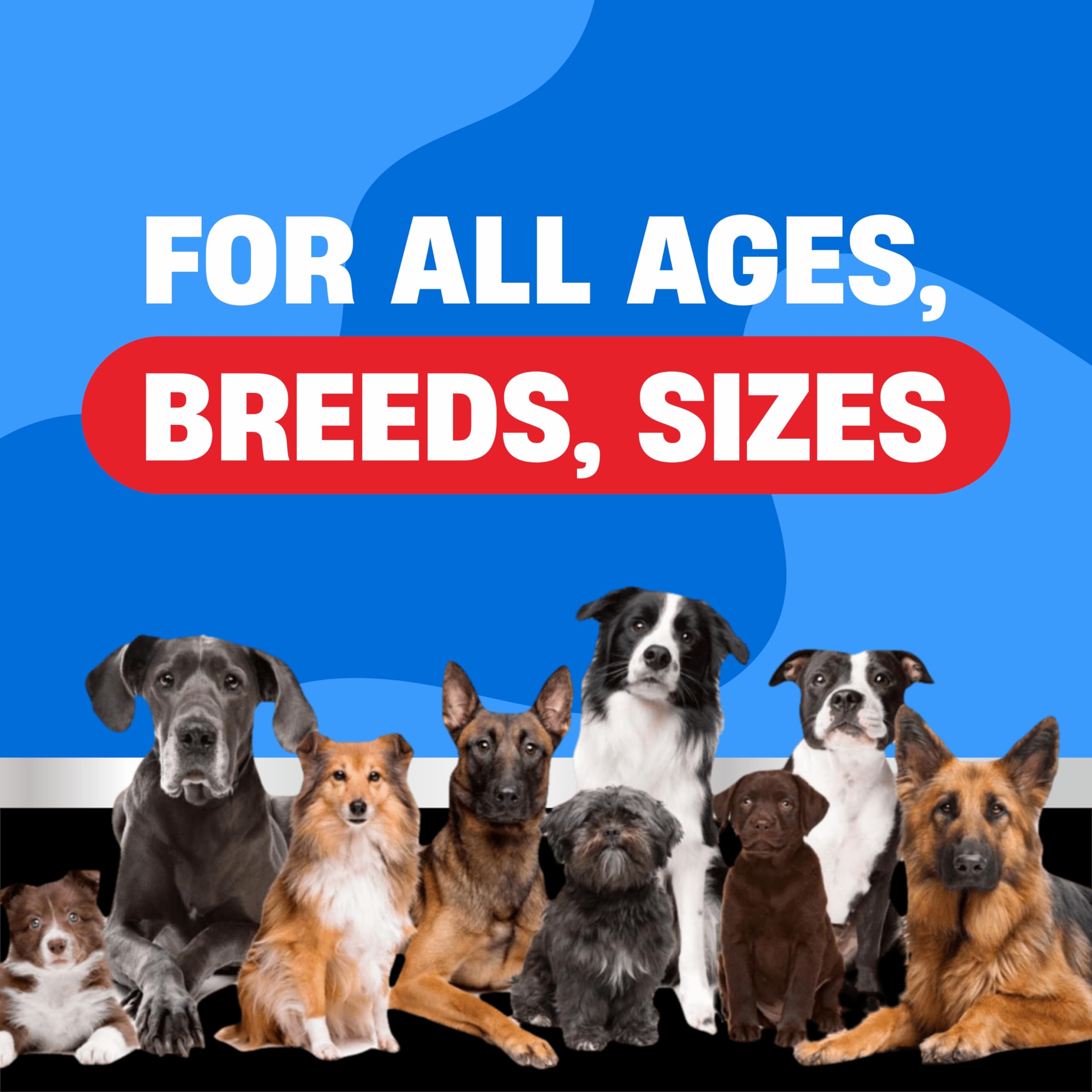 Avid Paws: protección natural para perros contra pulgas y garrapatas.
