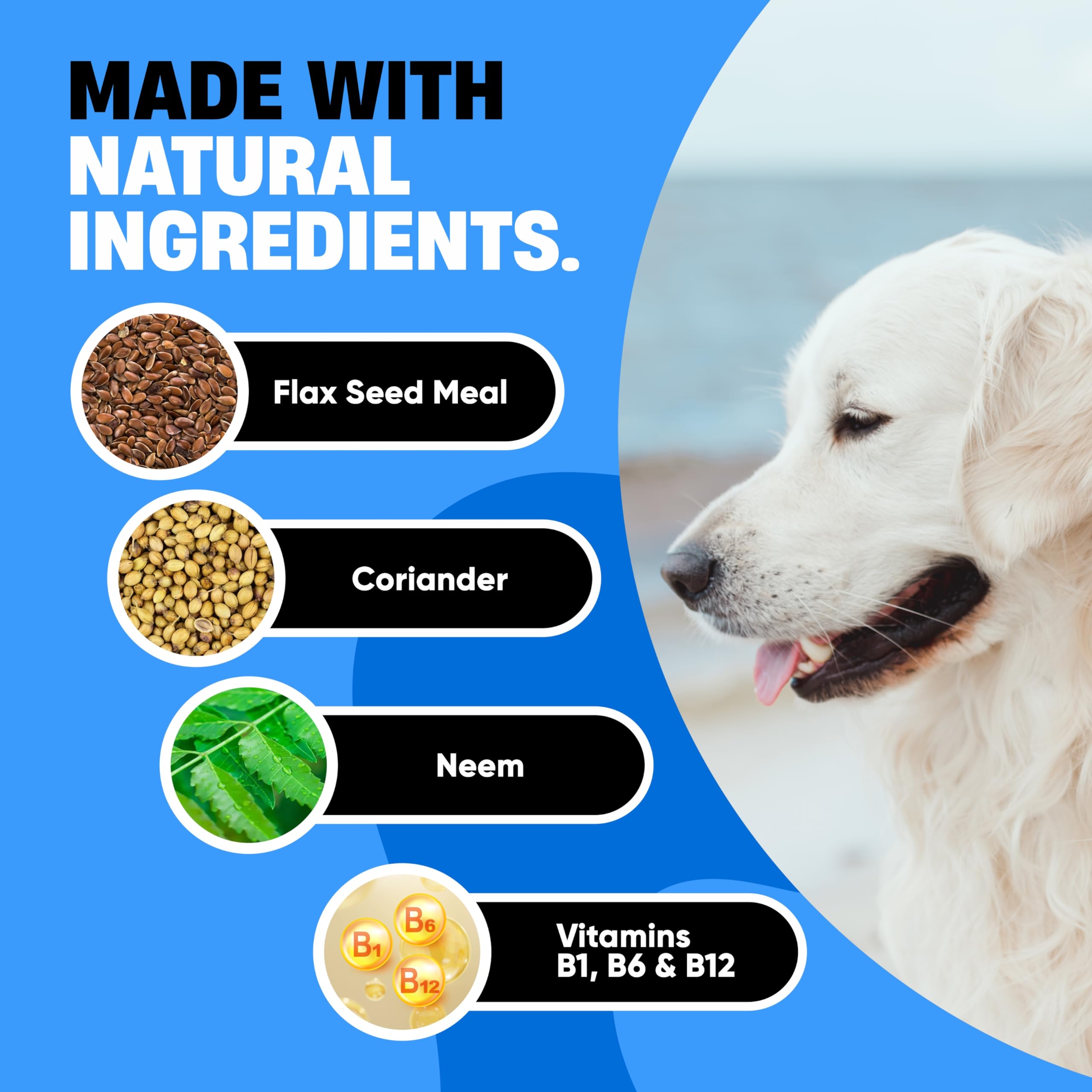 Avid Paws: tabletas de calidad fabricadas en EE.UU. con ingredientes.