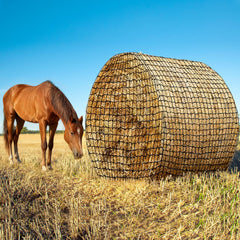 Avoirdus red de heno 6x6 pies para caballos, alimentación lenta para ritmo natural