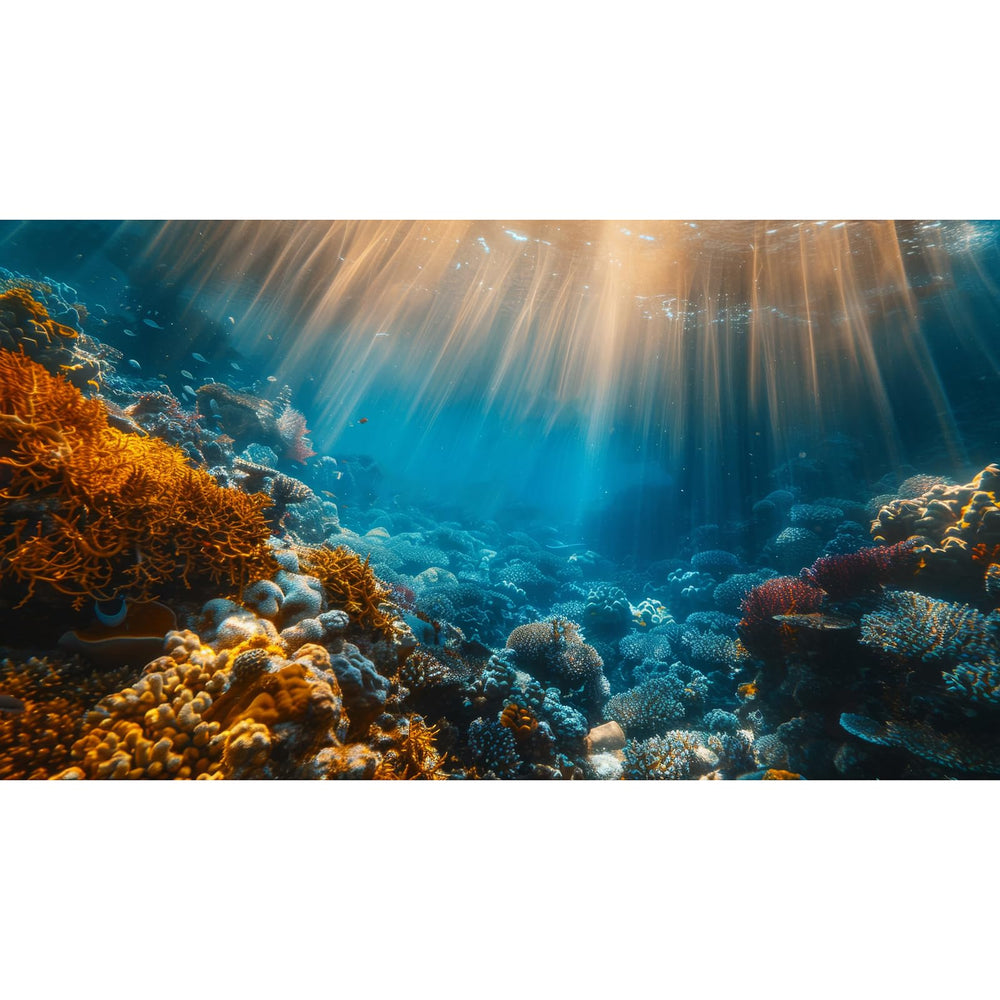 Fondo Avolander para acuario con paisaje oceánico realista