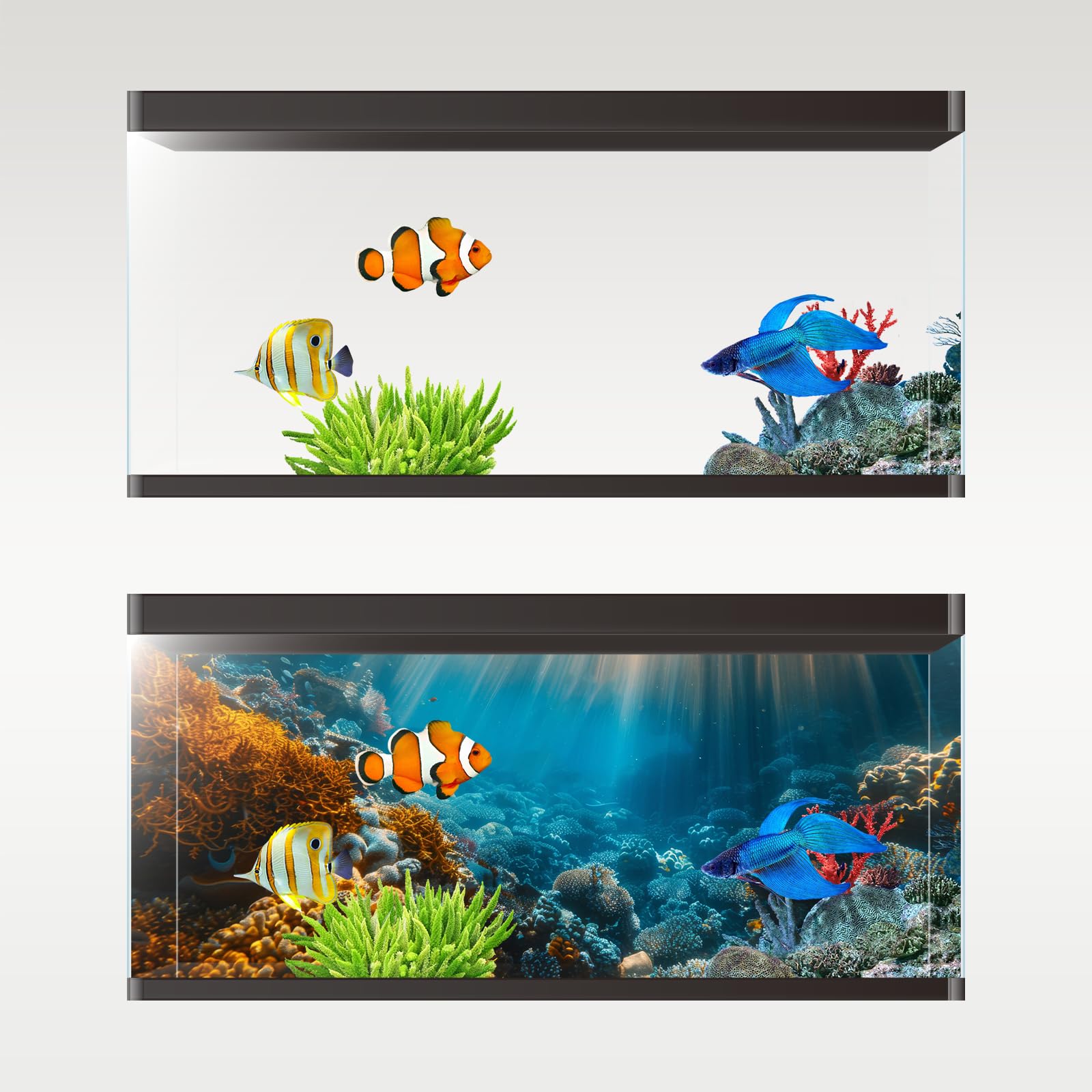 Fondo Avolander para acuario: paisaje marino que mejora la ambientación