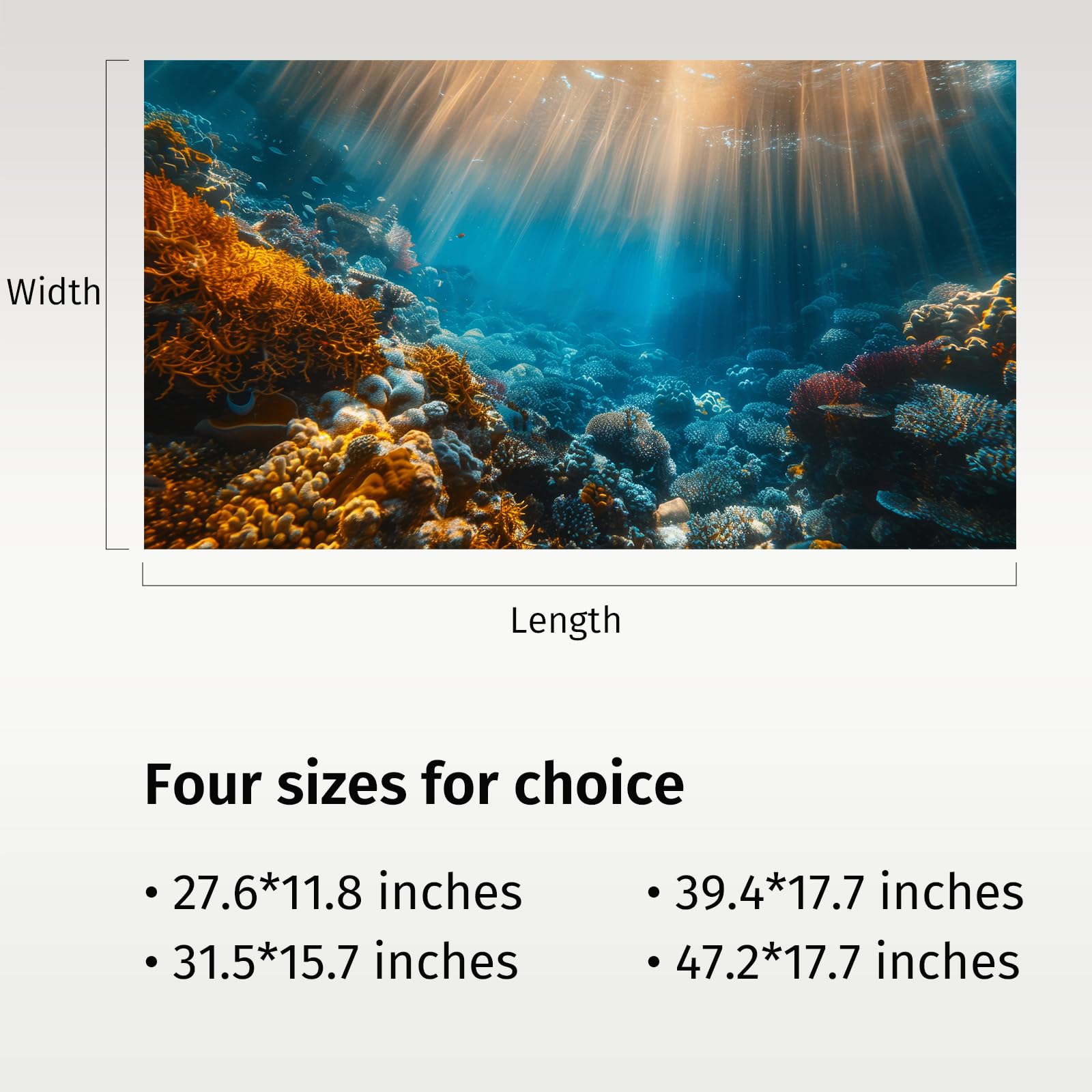 Fondo Avolander para acuario 28x12, tamaño versátil para distintos tanques