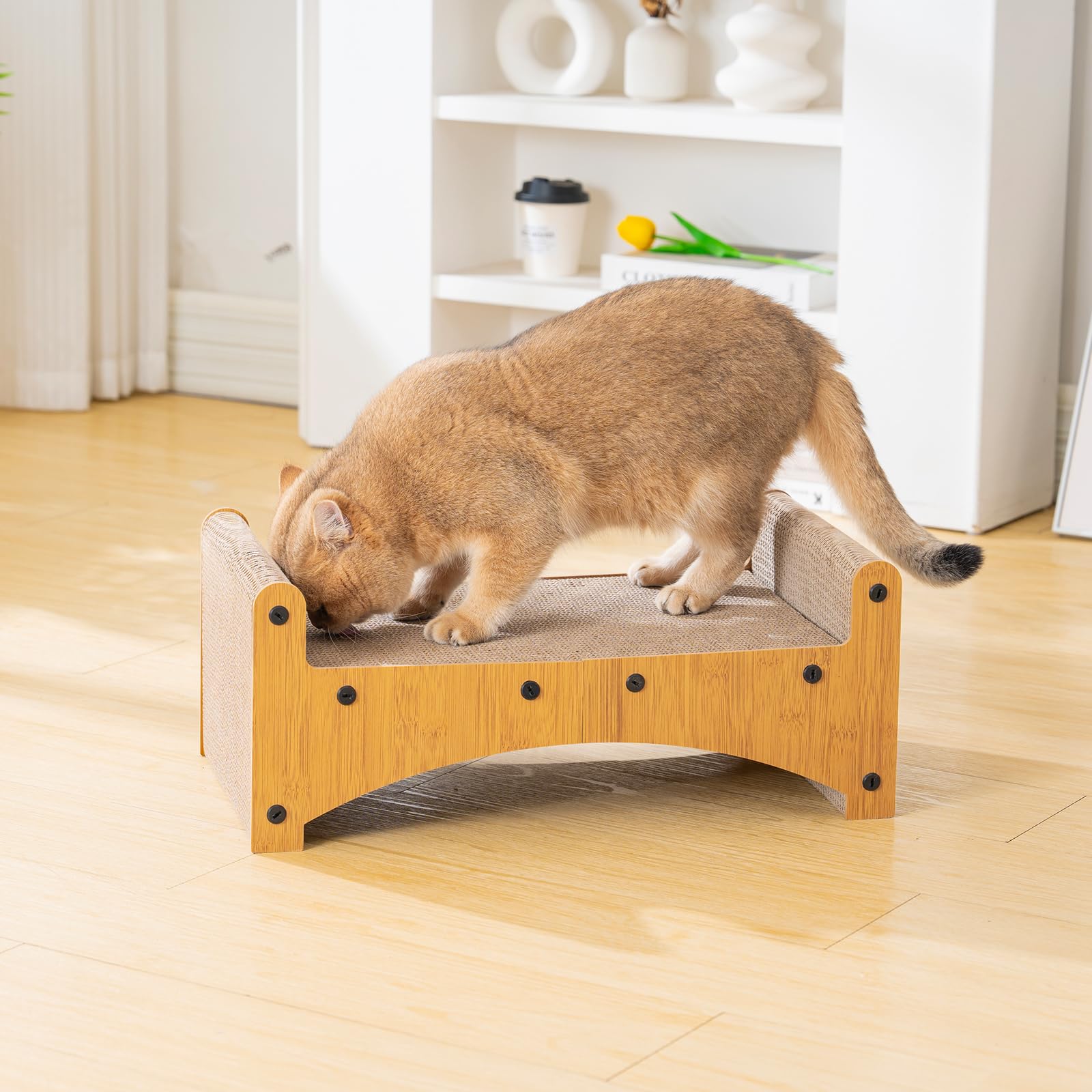 Avont regalo práctico para gatos: opción versátil para felinos y hogares