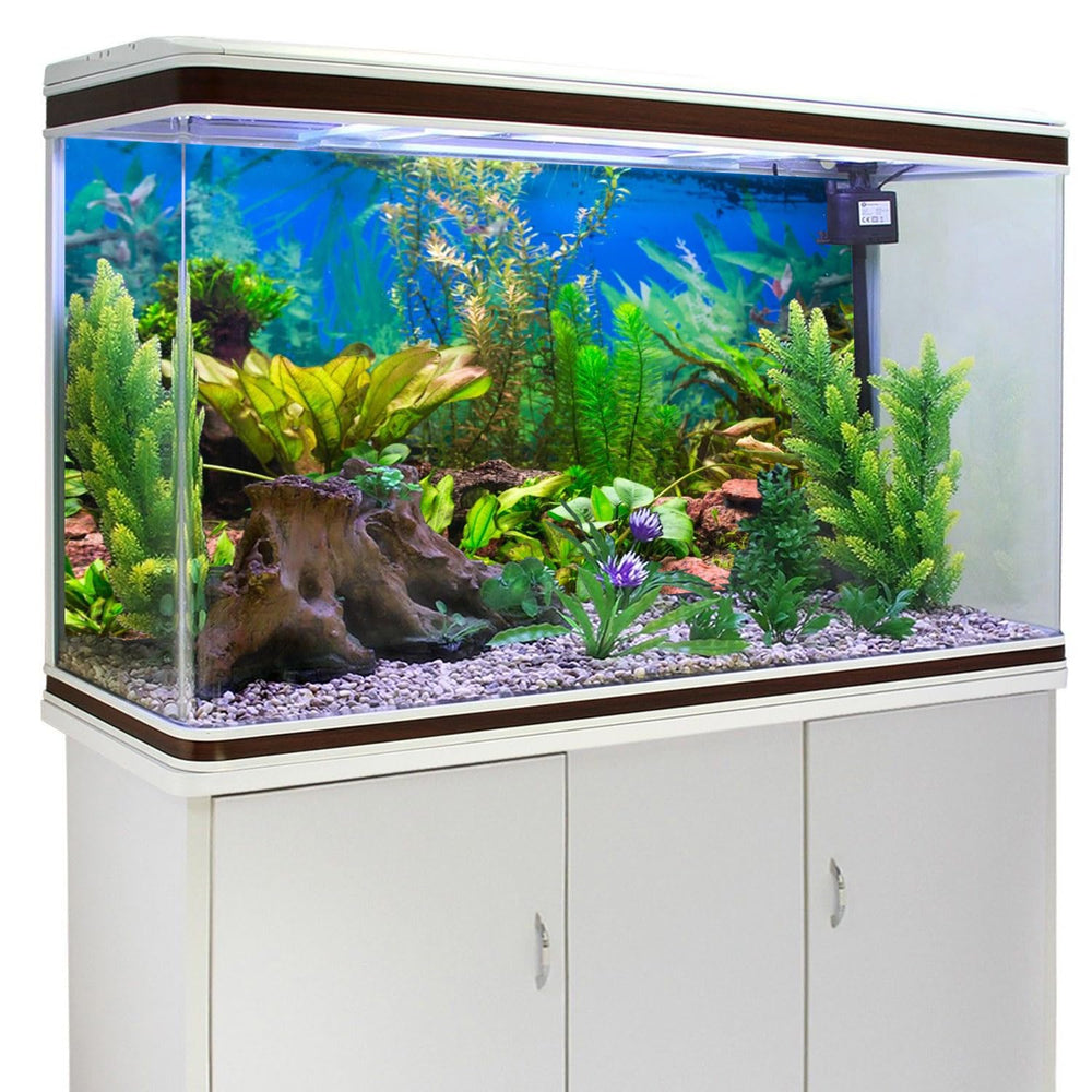 AWERT fondo para acuario hábitat natural, ambientación realista para cualquier especie
