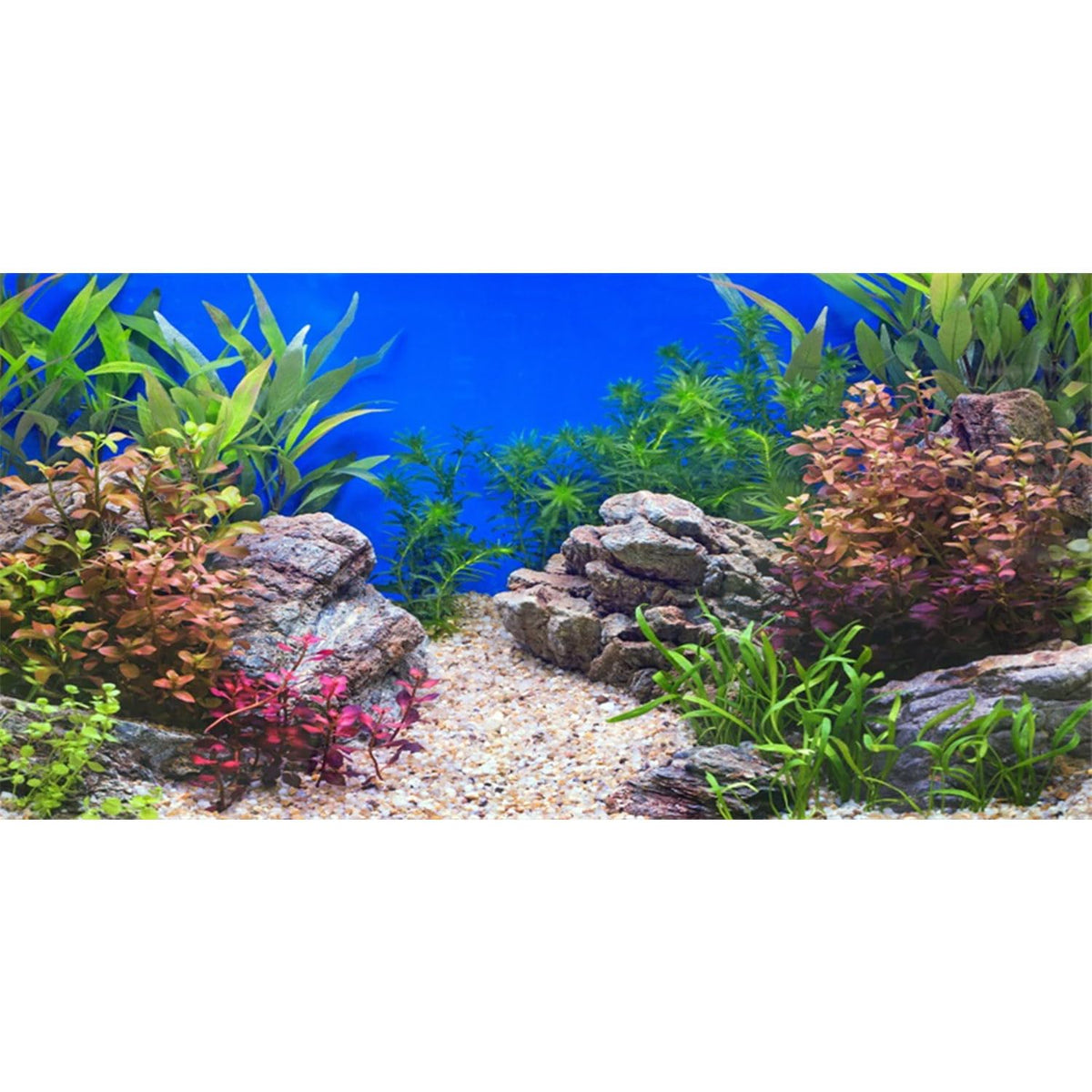 AWERT fondo acuario piedra río lago para un paisaje realista y vibrante.
