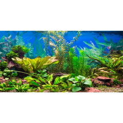 AWERT fondo acuario planta acuática río: realza la profundidad y colores vivos
