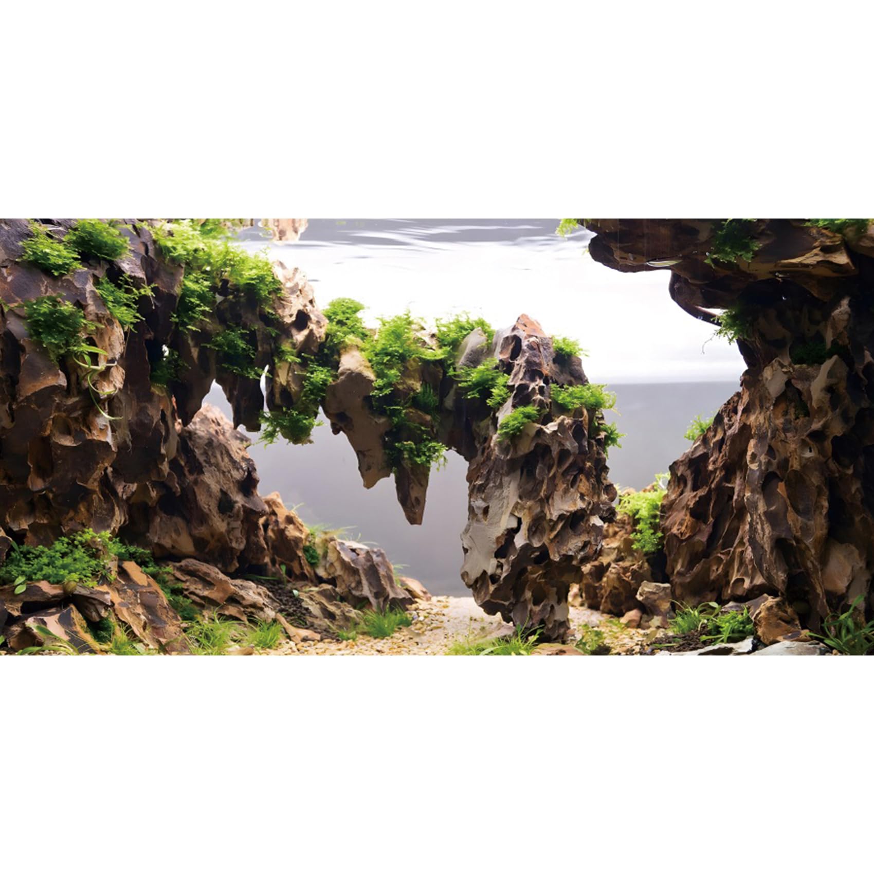 AWERT fondo para acuario: escena de ríos y lagos con plantas, añade profundidad visual.