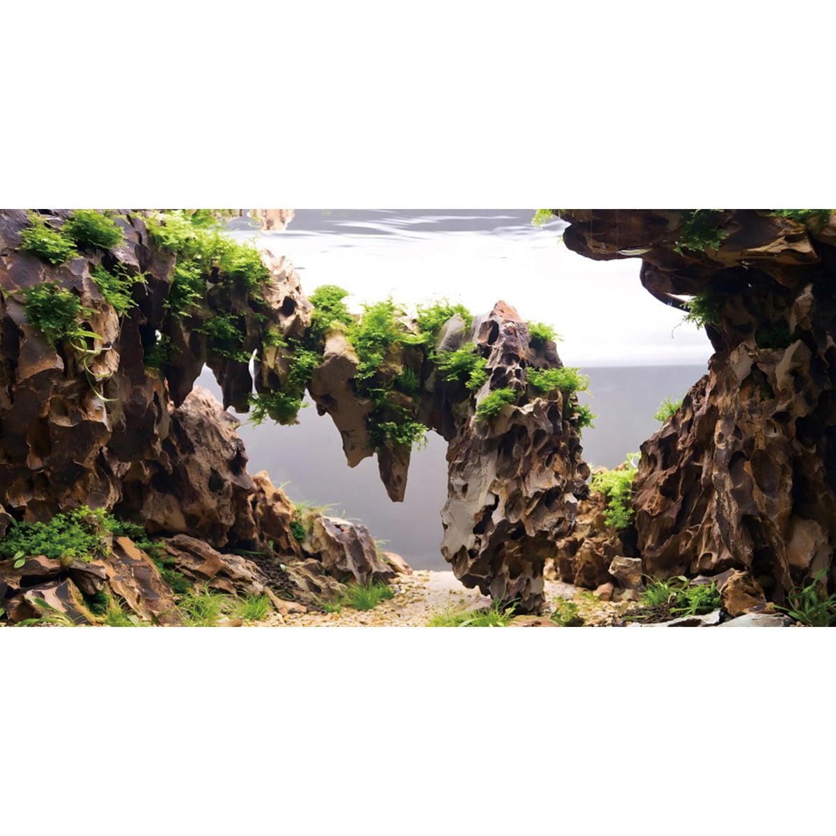 AWERT fondo para acuario: escena de ríos y lagos con plantas, añade profundidad visual.