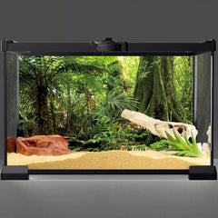 AWERT fondo habitat reptil con árbol tropical para una atmósfera natural