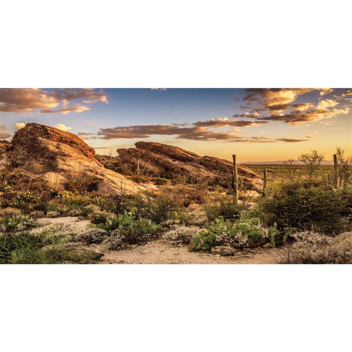 AWERT fondo de hábitat Reptil: cielo azul y cactus para un aspecto natural