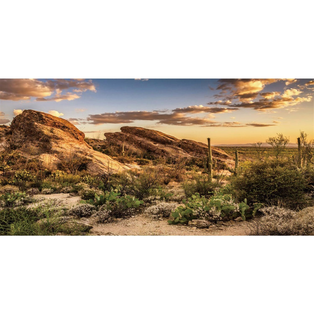 AWERT fondo de hábitat Reptil: cielo azul y cactus para un aspecto natural