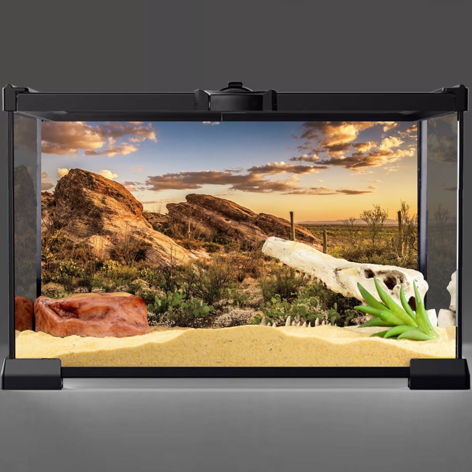 AWERT fondo para terrario: paisaje desértico con sol que realza colores