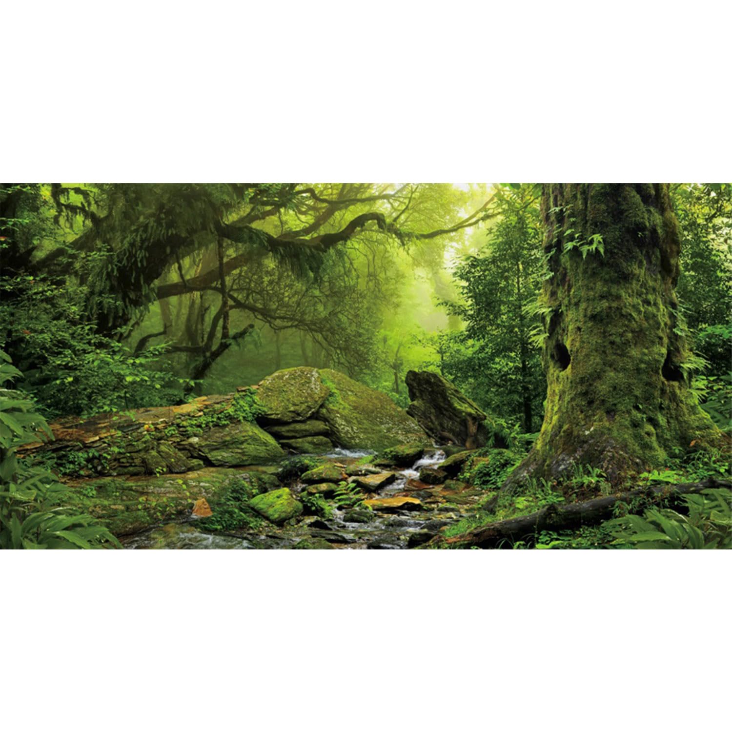 AWERT fondo terrario bosque tropical con árbol grande para un ambiente natural