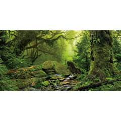 AWERT fondo terrario bosque tropical con árbol grande para un ambiente natural