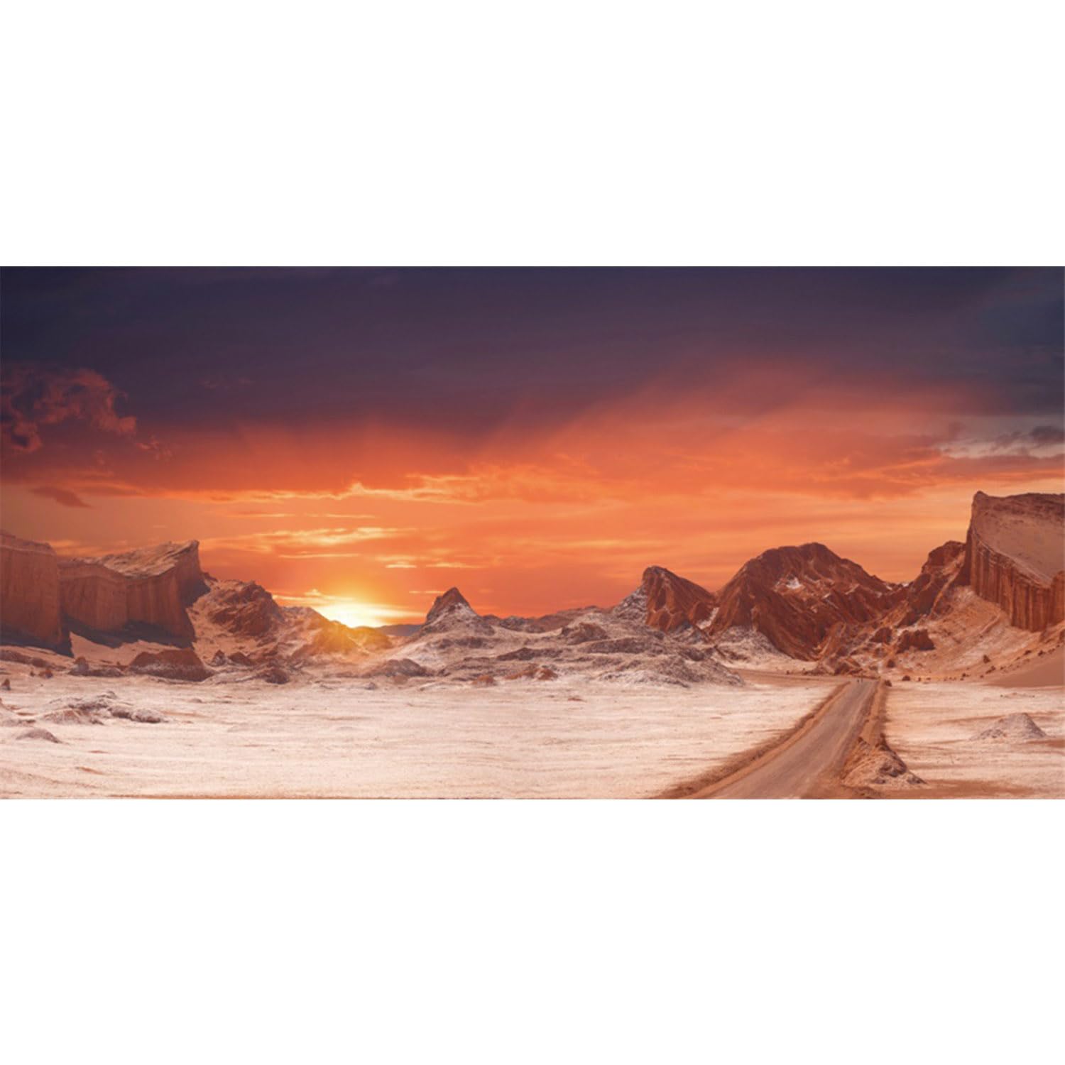 AWERT fondo terrario sol-desierto naranja, crea ambiente natural para reptiles