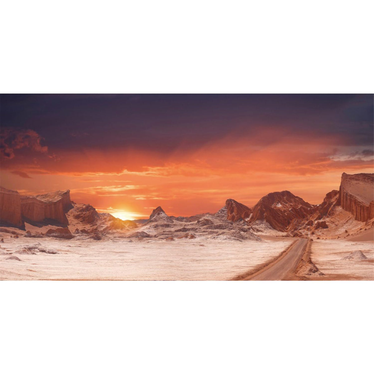 AWERT fondo terrario sol-desierto naranja, crea ambiente natural para reptiles
