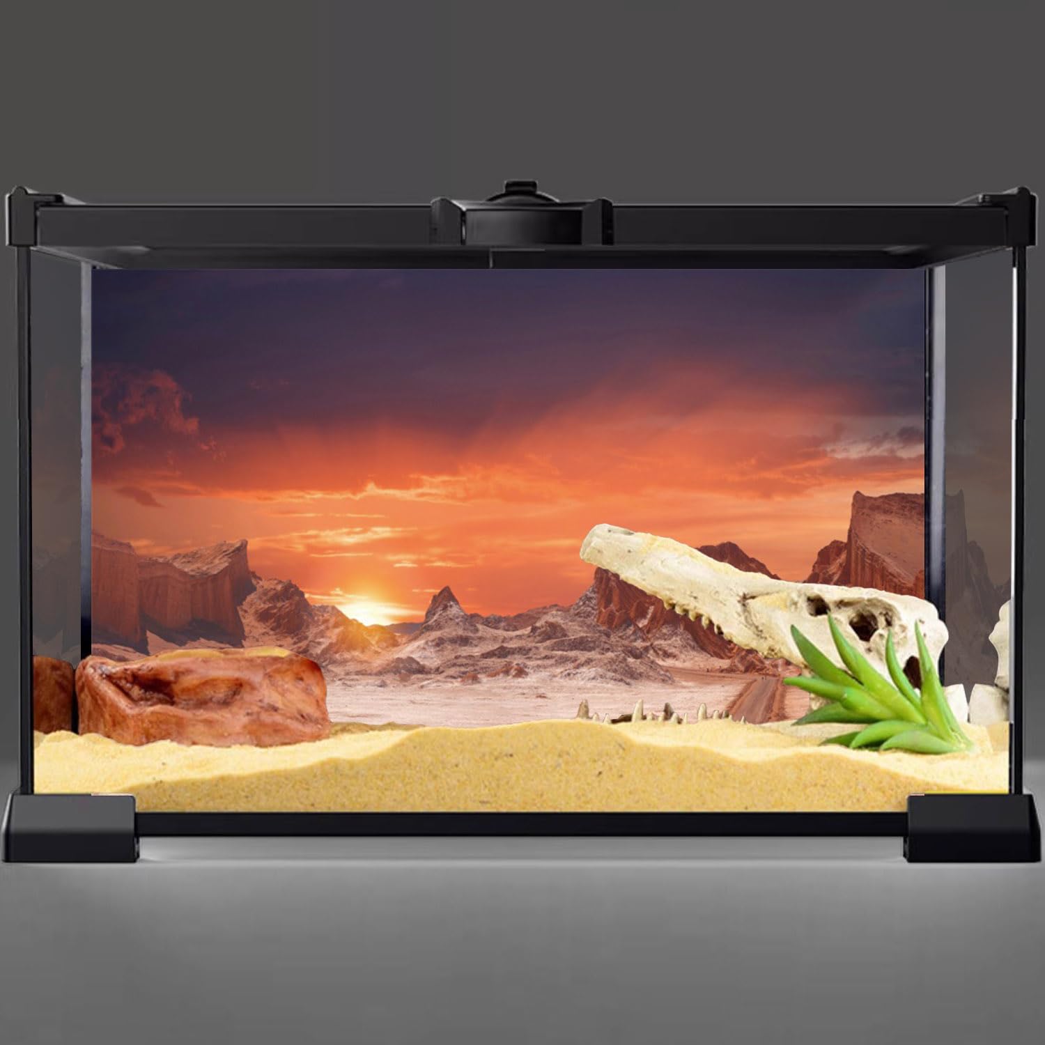 AWERT fondo terrario sol-desierto naranja, material duradero en poliéster