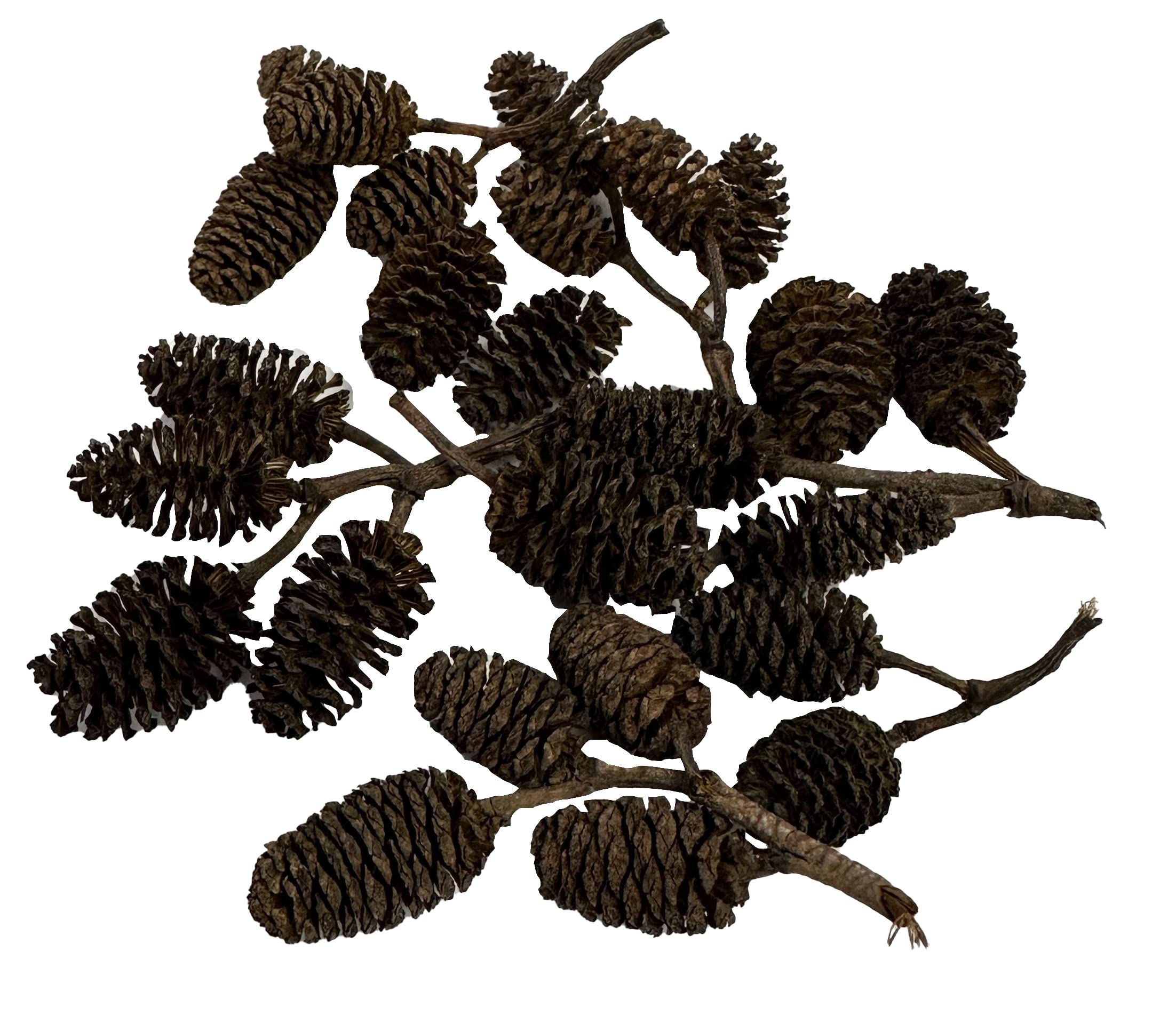 Conos de Alder de Awesome Aquatic estabilizan pH de forma natural.