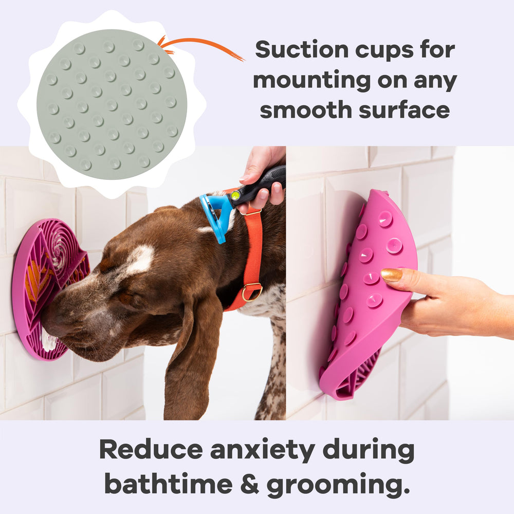 Awoo Paradise ventosas fijan en superficies lisas para grooming más tranquilo.