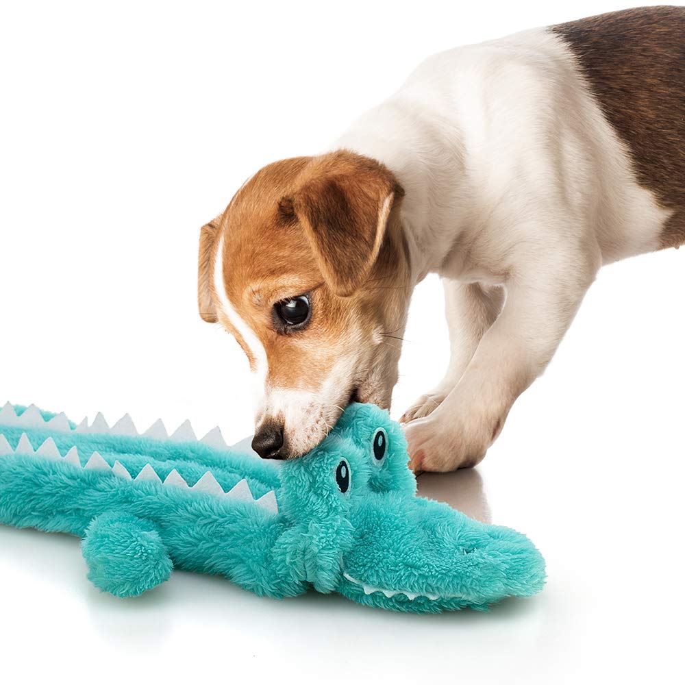 AWOOF Juguete duradero para perros en casa o exterior