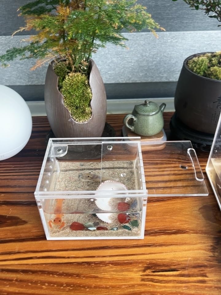Caja AWXZOM para cría de insectos arbóreos, alta visibilidad.