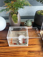 Caja AWXZOM para cría de insectos arbóreos, alta visibilidad.