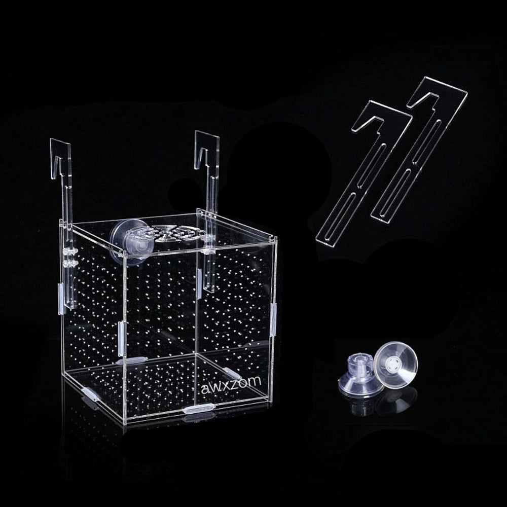AWXZOM caja-crianza-peces-acrilica, observación clara del interior