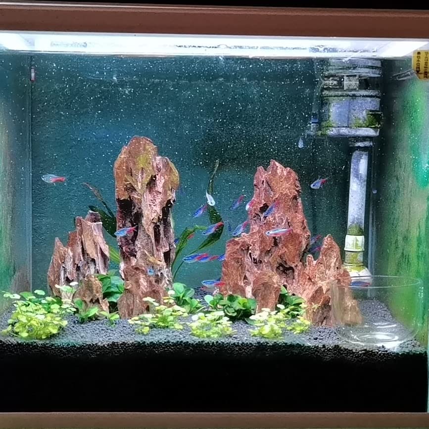 AWXZOM conjunto de rocas para acuario, 4,4 libras, instalación rápida.