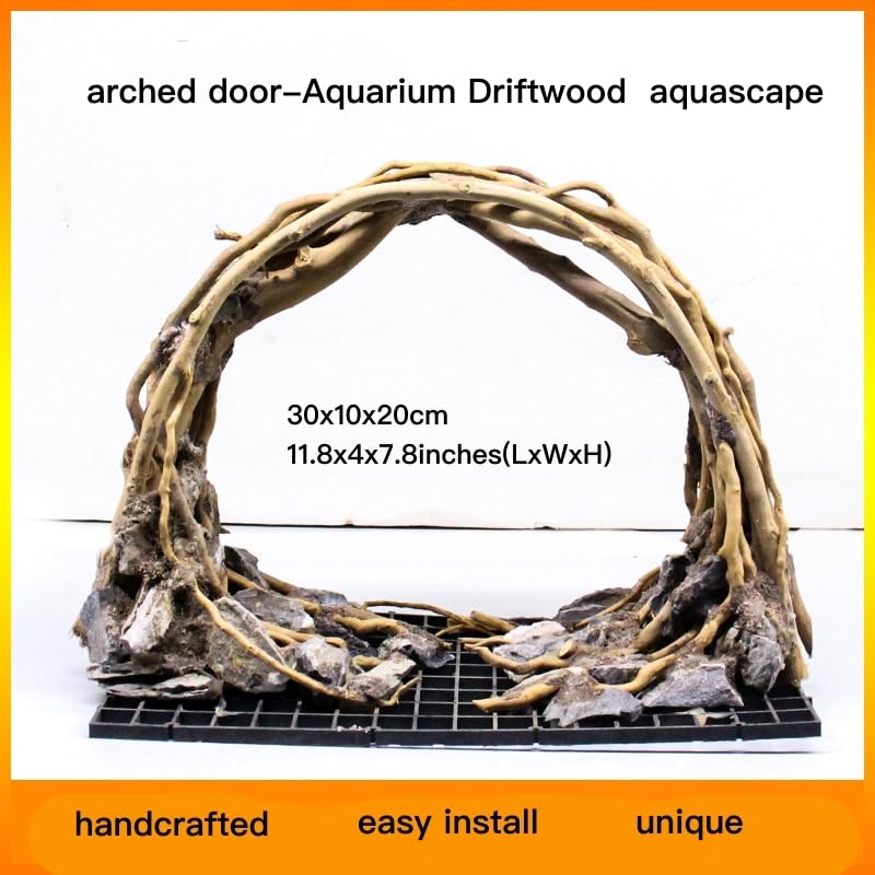 AWXZOM instalación fácil con musgo y plantas para acuario.
