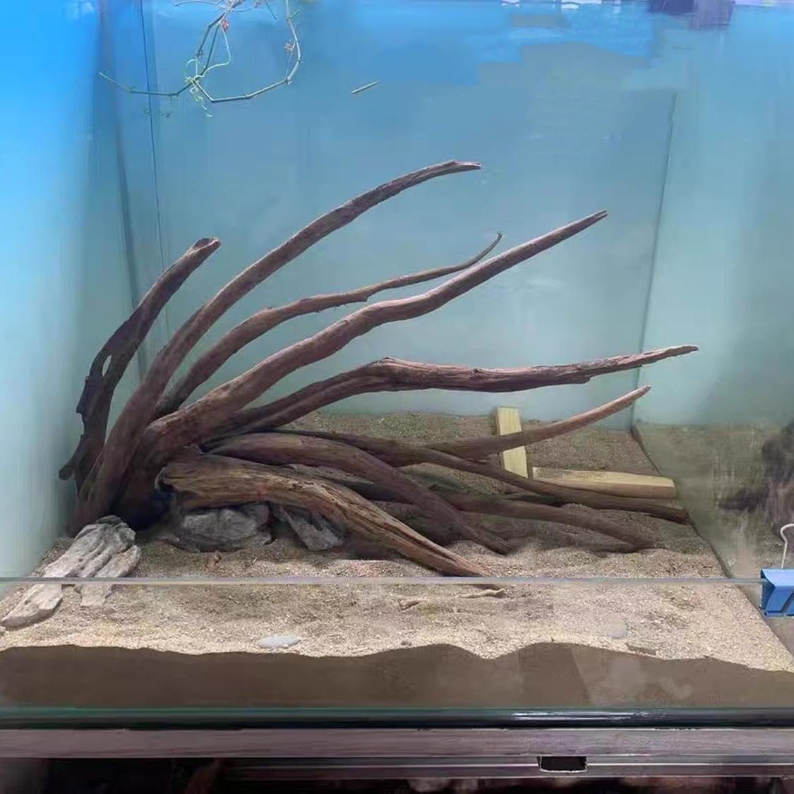 AWXZOM Madera natural para hábitats de tortugas y anfibios, refugio natural.