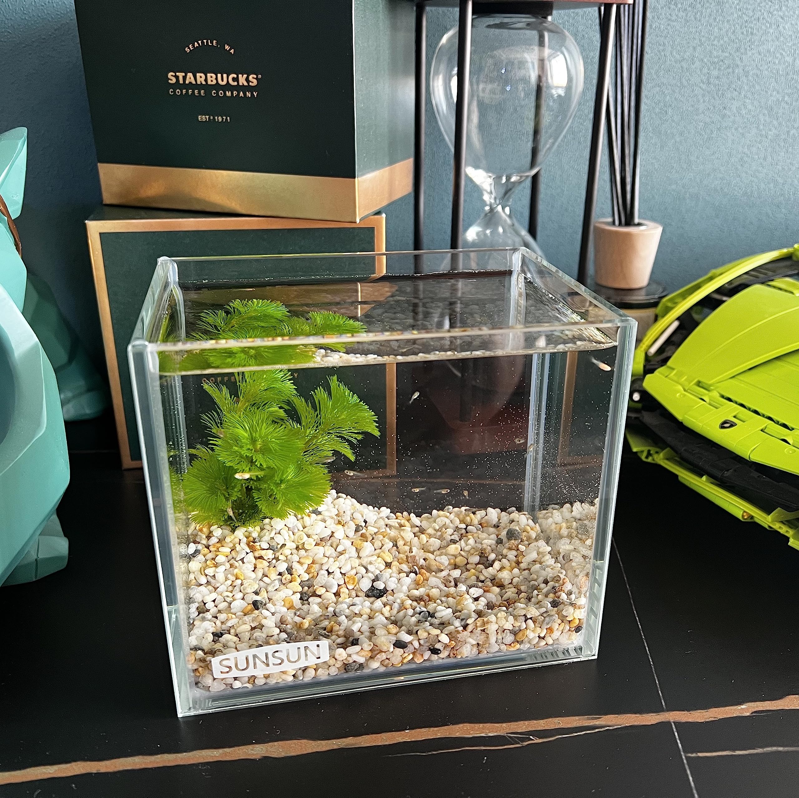 AWXZOM nano tanque montaje sencillo para configuraciones rápidas