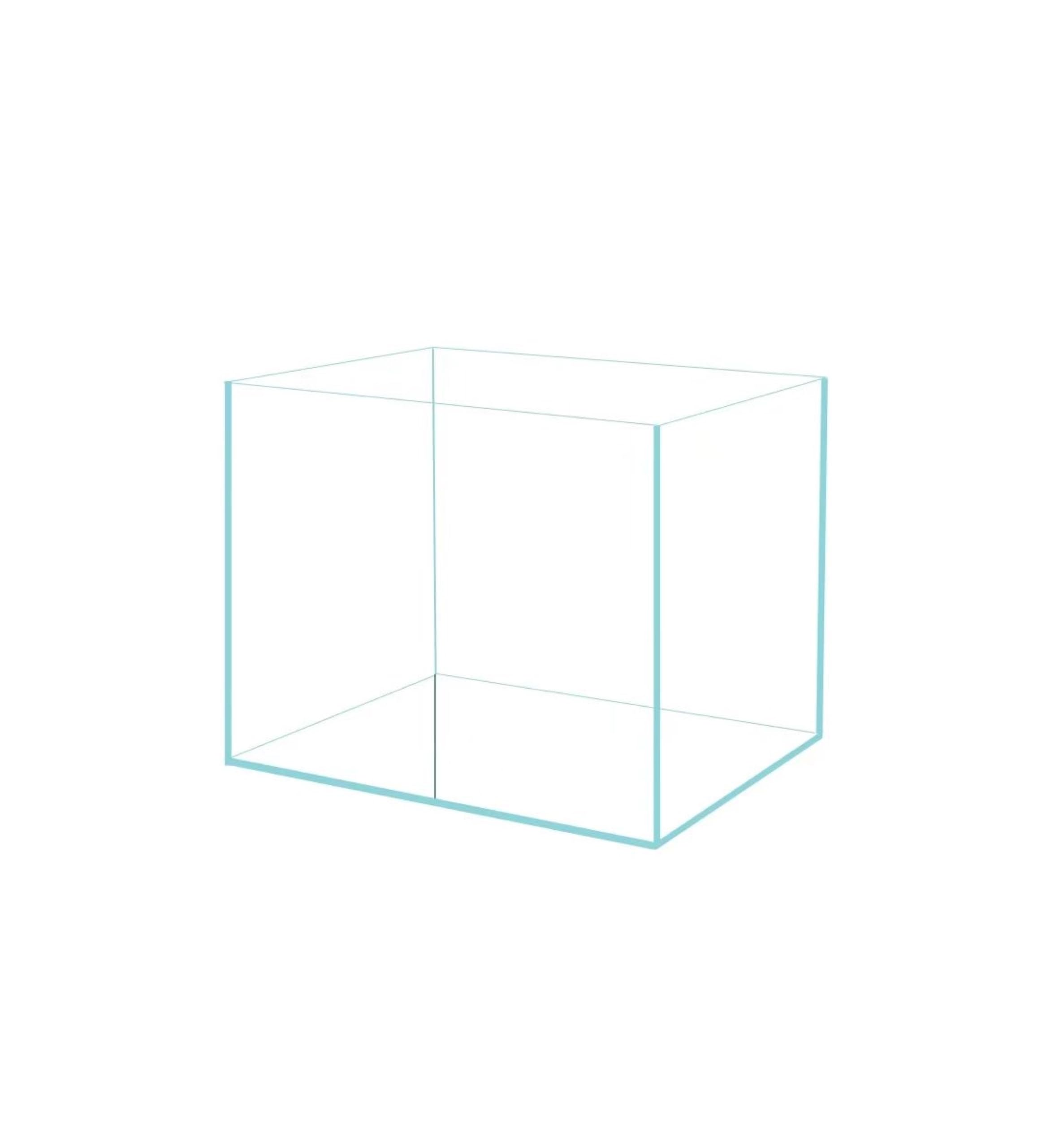 AWXZOM nano tanque sin borde con vidrio ultra blanco para una visualización clara