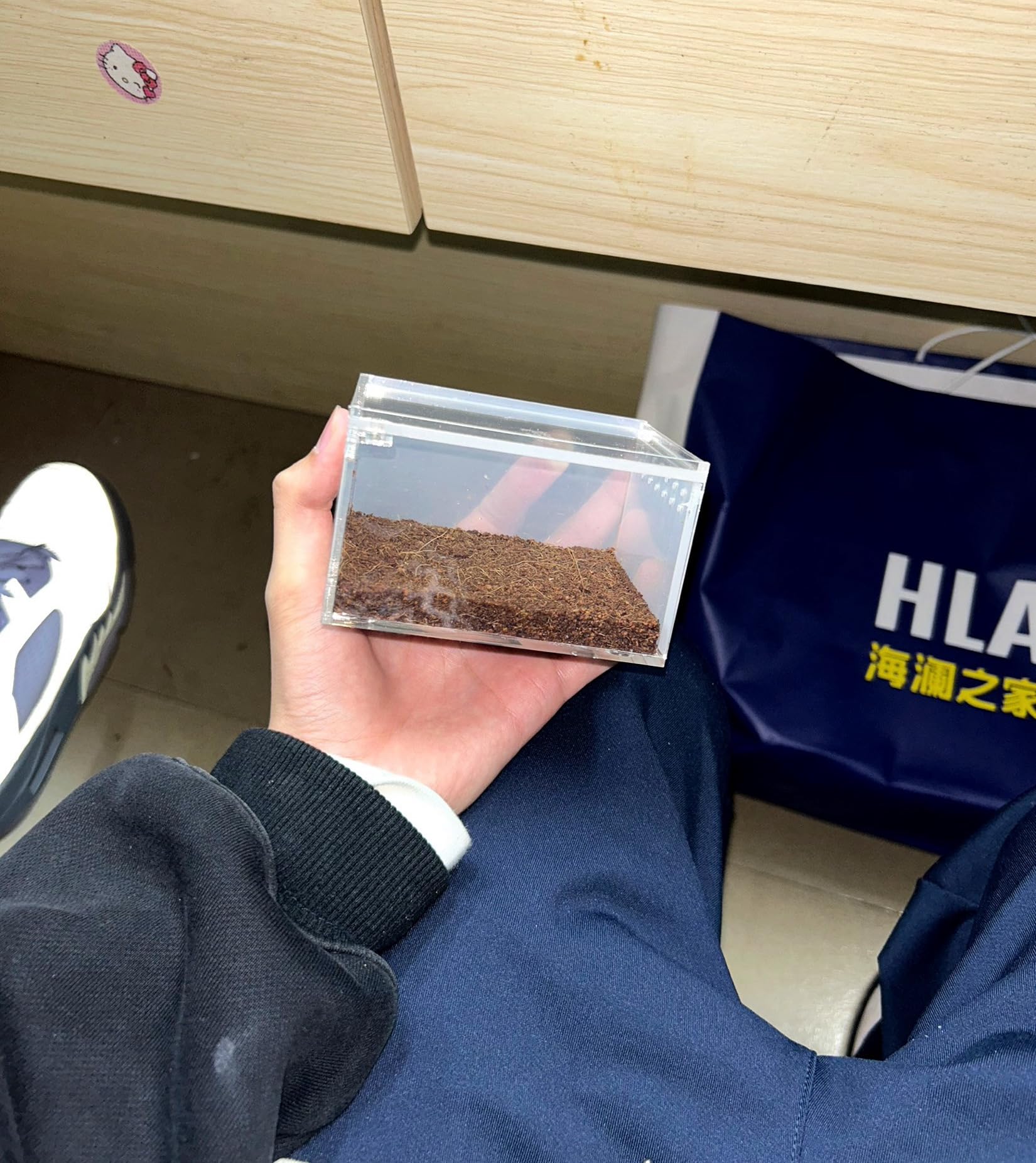 Observación clara con AWXZOM, caja acrílica para reptiles.